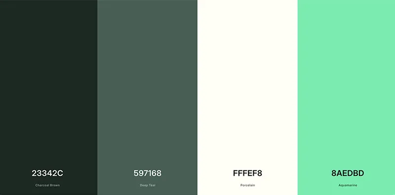 Barbara Medea website design