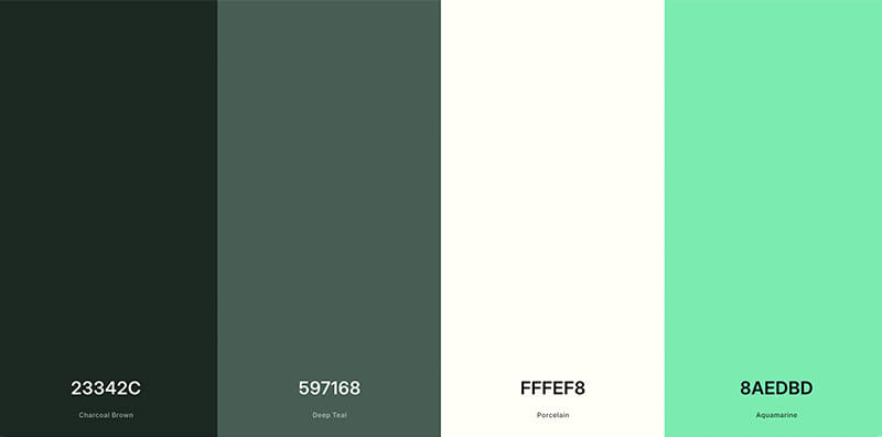 Barbara Medea website design