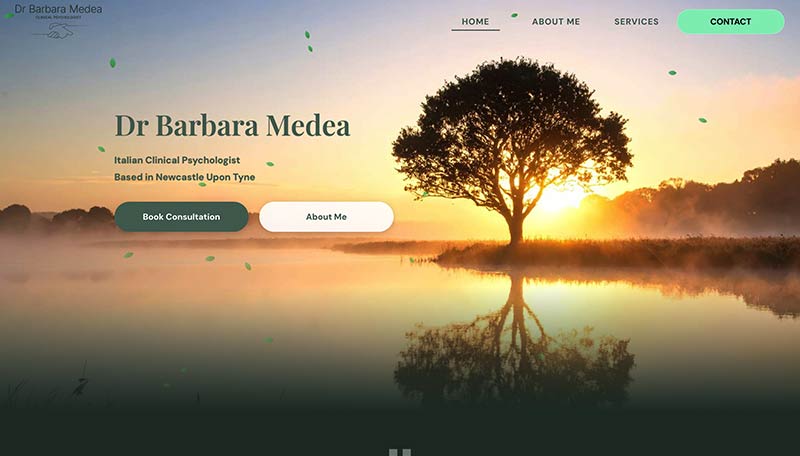 Barbara Medea website design